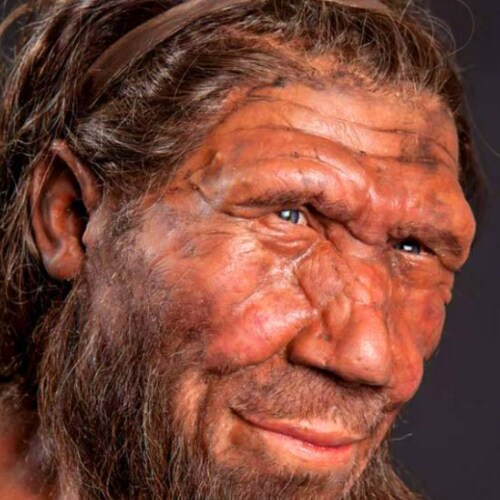 I'm not a regurgitator, only original thoughts.  I sabotage media lies.  A Neanderthal at Social Media.