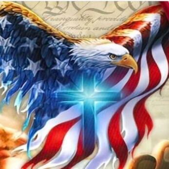 Member of the Army of the Awakened #trumpwon