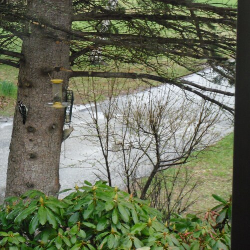 Visit stevethird17's profile on GETTR. View their posts, photos, videos, and connect with them on the social platform.