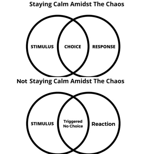 Every-single-time opportunity exists in the middle. Continuing to reinforce a reaction misses the op...