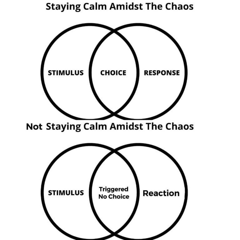 Every-single-time opportunity exists in the middle. Continuing to reinforce a reaction misses the opportunity, increasing lifespan of emotions.
Emotions