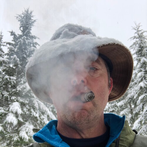 trust issues with media and politicians