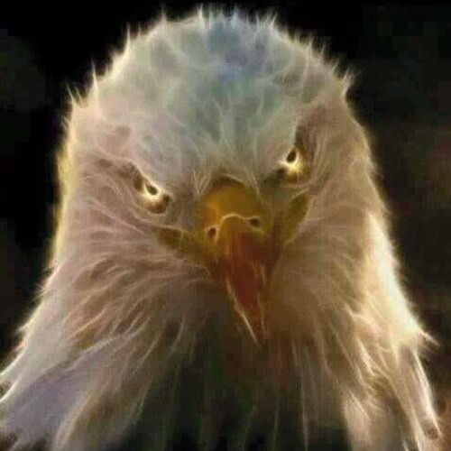 𝐅𝐨𝐥𝐥𝐨𝐰 𝐌𝐞 𝐅𝐨𝐫 𝐘𝐨𝐮𝐫 𝐃𝐚𝐢𝐥𝐲 𝐃𝐨𝐬𝐞 𝐎𝐟 𝐓𝐫𝐮𝐭𝐡 𝐓𝐡𝐚𝐭 𝐓𝐡𝐞 𝐌𝐚𝐢𝐧𝐬𝐭𝐫𝐞𝐚𝐦 𝐌𝐞𝐝𝐢𝐚 𝐈...