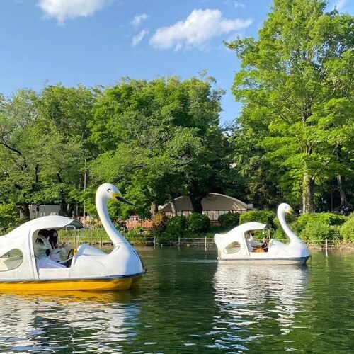 真実を広める、拡散します❕