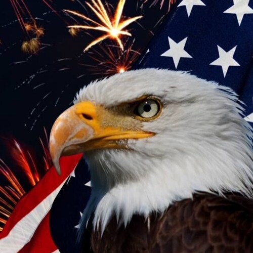 Constitutional conservative wife and mother,  pro 1A pro 2A, pro LEO, Love my country,  embarrassed by our government