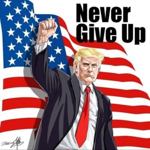 Husband, father, brother, son. Japanese, Patriot. I love fmr prime minister Abe Shinzo &amp; fmr president Donald J. Trump. No fake news! No great reset!