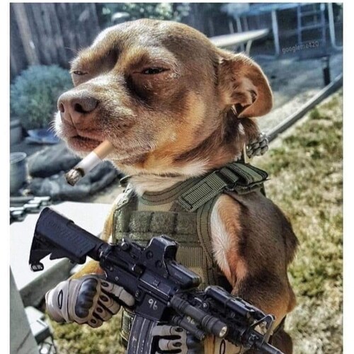 Limited time offer! Follow me.now for FREE! Full access to all the stupid sh*t I say! All new follows get a follow back!...