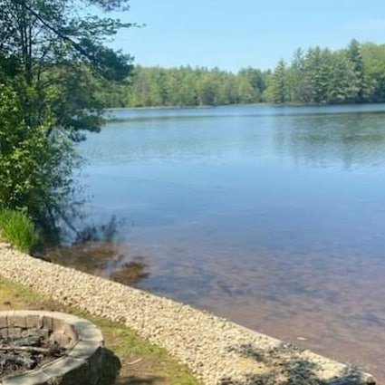 Visit Scarcella119's profile on GETTR. View their posts, photos, videos, and connect with them on the social platform.