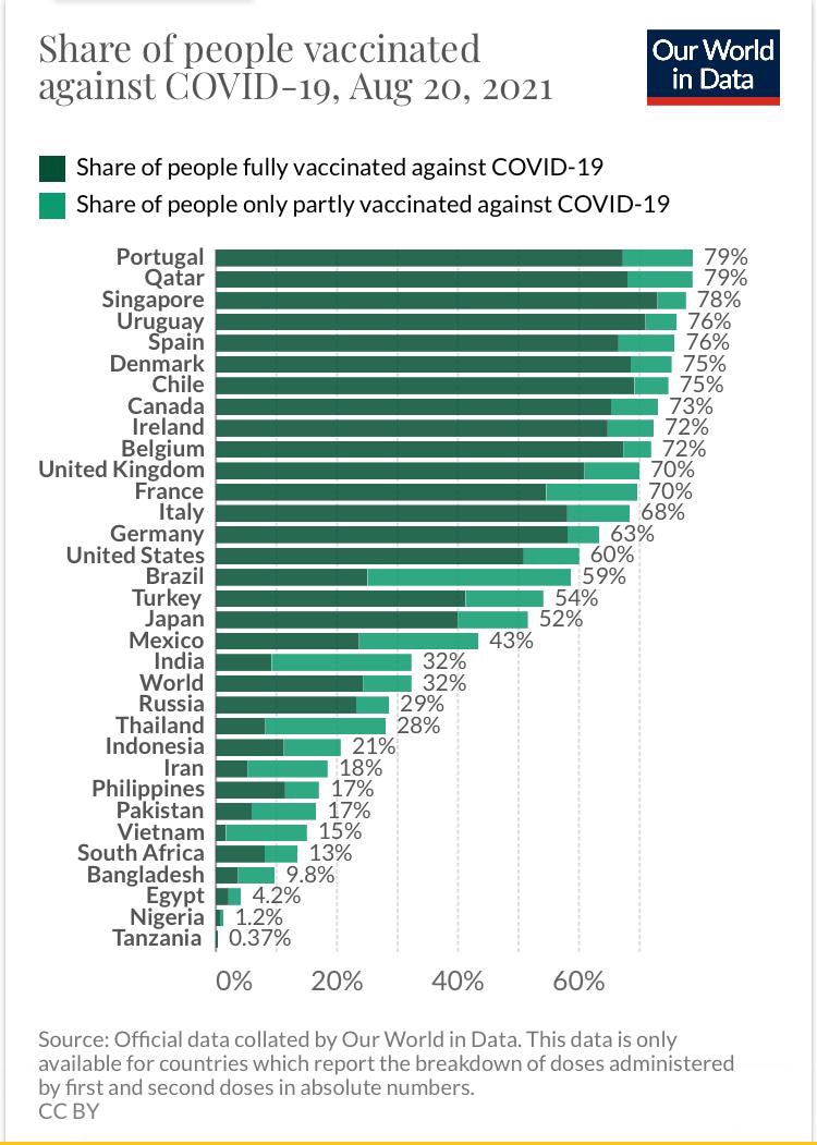 🙀🙀🙀🙀🙀🙀🙀🙀🙀