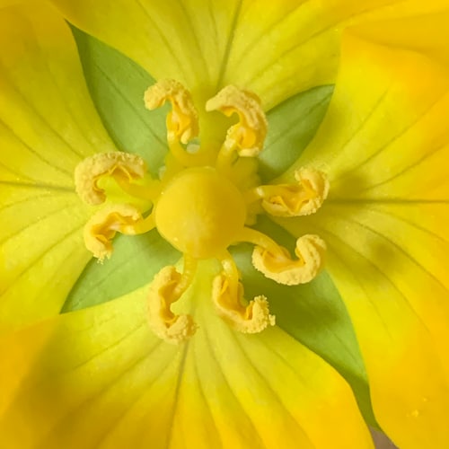 Time to end political prostitution, abolish media whores and eradicate all communists.