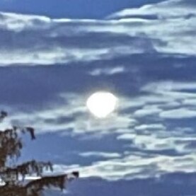 🍊🍊Wife. Mother. Patriot. 🇺🇲🇺🇲Avid Reader. #AmericaFirst #MAGA  IFBAP. If you can't post in English, you will be bl...