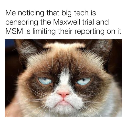 -Since approximately December 8th*, several Maxwell trial tracking accounts on Twitter have been sus...