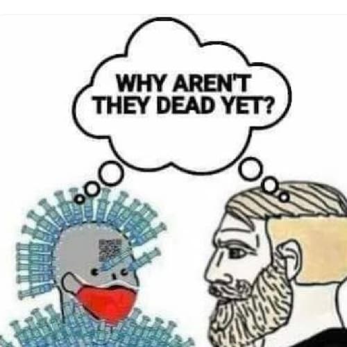 Old school liberal.  
Not a fan of black-or-white thinking & wary of confirmation bias. I have no idols