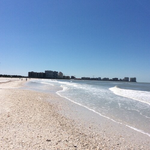 #TeamReason #GreatBarringtonDeclaration #TeamReality