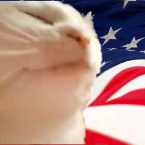 Do not comply.
Never EVER give up.
I’m not a cat. I’m a little lion.
American by birth.
Texan by the grace of God.
#VaxF...