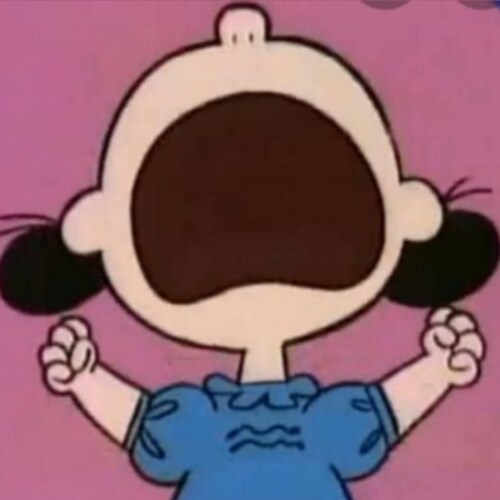 Tired of the lies. Tired of not being represented. Looking forward to better days 💪🇺🇲🤗 and ready to do the work to g...