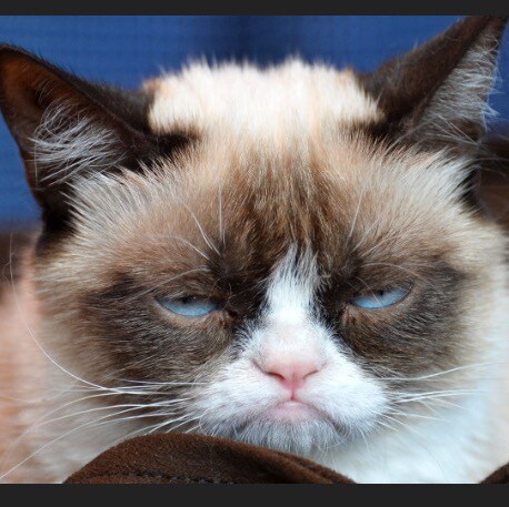 Free thinking and the right to different opinions don’t seem to matter anymore. We have to fight for our freedoms. 

Lif...