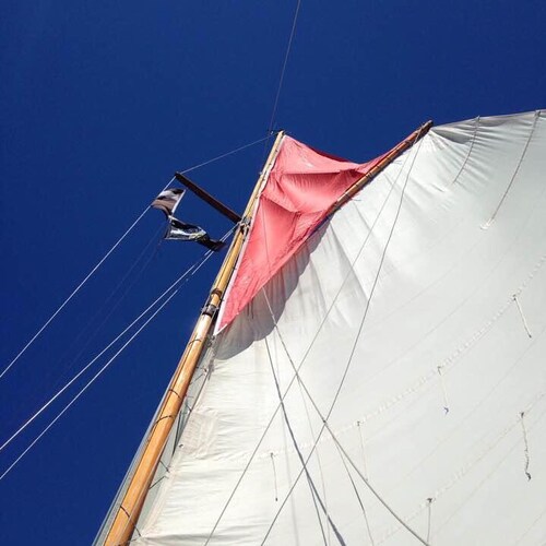 #BackBoris #brexit #antiwoke #TruckersForFreedom freedom of speech #democracy #MAGA  #Trump Always follow back.