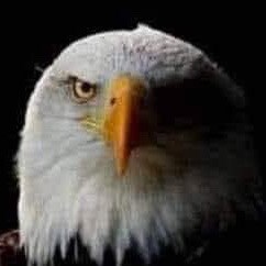 Mother, wife, entrepreneur, patriot