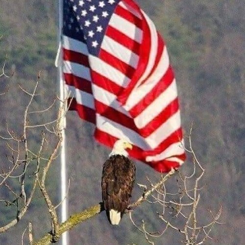 Registered Nurse, Navy Combat Vet, Proud American, Pro 2A, lover of freedom, and dad to 2 girls