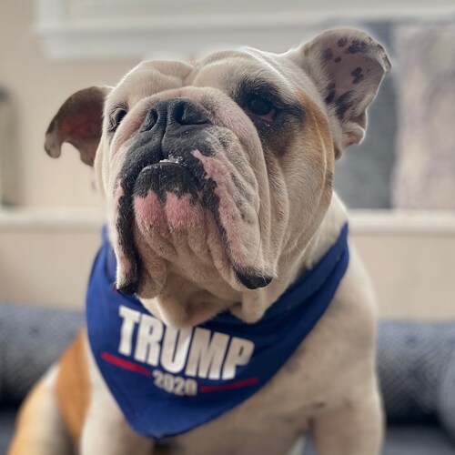 Constitutional Conservative with balls of steel