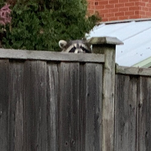 well travelled and open minded