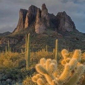 Christian , father and husband trying to make some sense out of all of this!