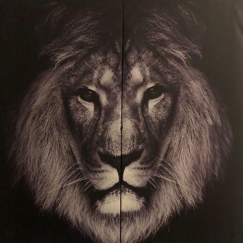 Stand For Freedom. Stand for Truth. Stand with Jesus. Christ wins.