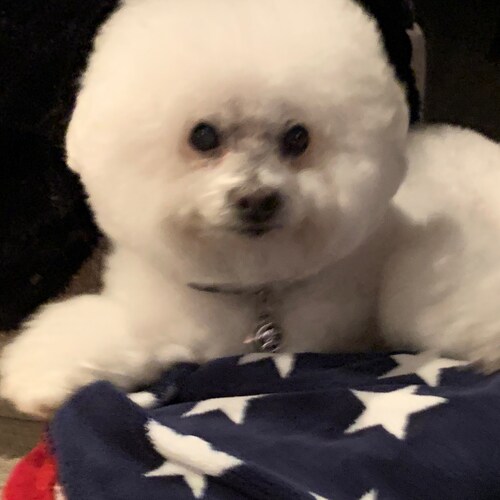 America the beautiful…a believer!