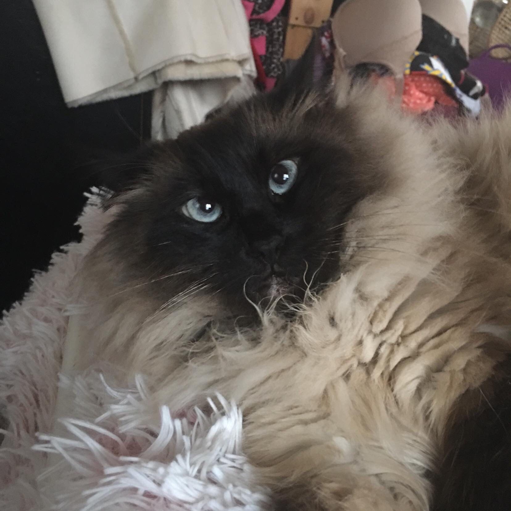 View ShawnAdkins's post on GETTR. Join the discussion, share your thoughts, and connect with the community.