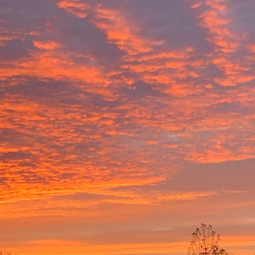 Visit Cass111's profile on GETTR. View their posts, photos, videos, and connect with them on the social platform.