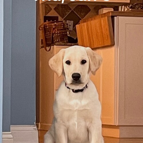 MAGA, PATRIOT POWER
WWG1WGA
FUND POLICE
I STAND FOR FLAG