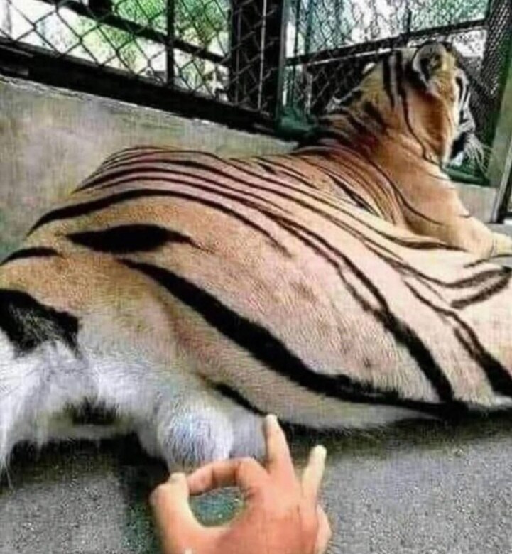 Time to kick Friday into high gear 😂