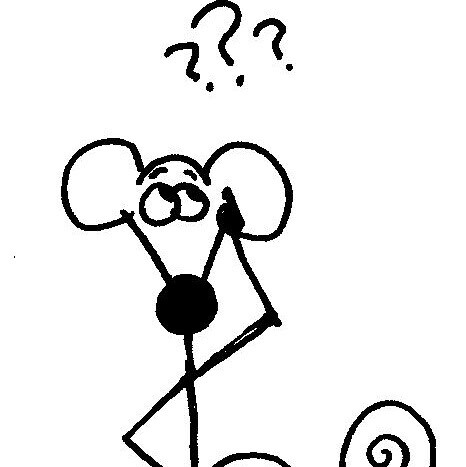 Christian believer, waiting for the Blessed Hope, conservative, Southern, did not comply; always asking, “Why?”