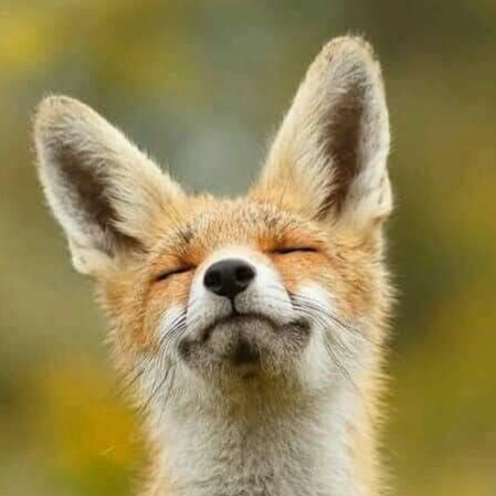 Visit Chris1800's profile on GETTR. View their posts, photos, videos, and connect with them on the social platform.