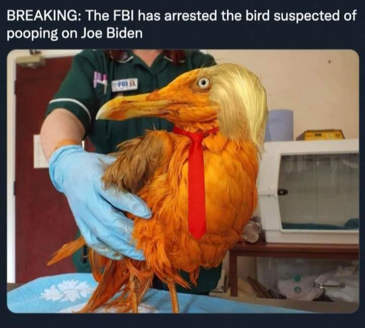 Bwaahaha amazing how they caught the bird but cant investigate real crimes.