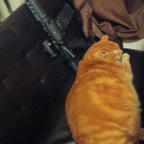 Retired machinist Unvaxxed and proud Christian Constitutional Conservative No solicitors please