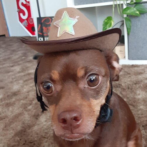 Visit Cheryl Burdick's profile on GETTR. View their posts, photos, videos, and connect with them on the social platform.