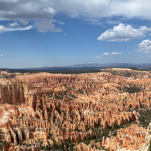 Visit kmandr's profile on GETTR. View their posts, photos, videos, and connect with them on the social platform.