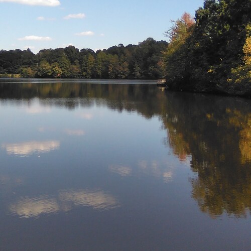 Twitter is a fascist app! I don't care what Elon is pretending to do. Twitter is controlled by incel...