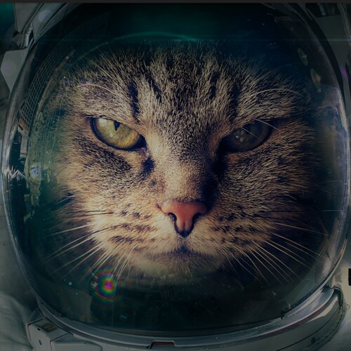 Army Vet / DVA / American Patriot / GOD WINS