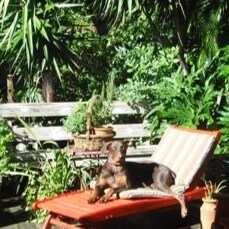 Christian woman, writer and teacher. Tasked by Jesus to be Salt and Light in the world. Dark and Unsavory Times call for...