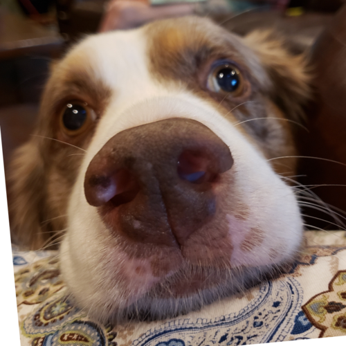 Visit LovinPlants's profile on GETTR. View their posts, photos, videos, and connect with them on the social platform.