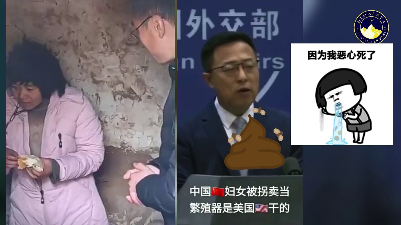 对不起爆粗口了，赵立坚这孙子满嘴喷粪，中共国被拐卖的妇女是美国人干的？这他妈的无耻到极点了，世界上还有这种奇葩生物！