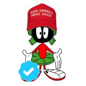 Retired Police Officer - PH & MoV Recipient, Christian, MAGA/America First, Parler-Gab-Twitter-Gettr: summerskies12 exDe...