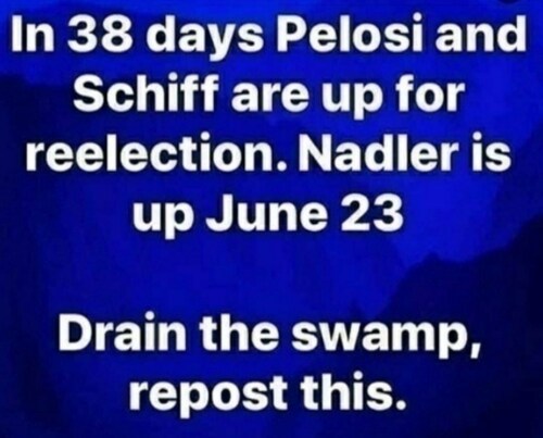 💥REPOST💥💥TIME TO DRAIN THE SWAMP💥