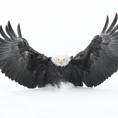 Social Media is BETTR with GETTR. BETTR community. BETTR technology. BETTR opportunity.