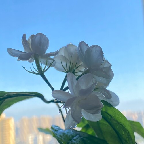 Visit gettr360's profile on GETTR. View their posts, photos, videos, and connect with them on the social platform.