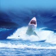 Visit izradonjudaea's profile on GETTR. View their posts, photos, videos, and connect with them on the social platform.