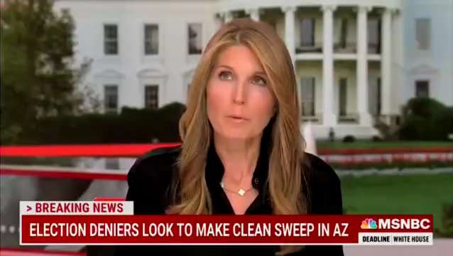 Nicolle Wallace wonders if Barack Obama should form a team to man a "democracy hotline"